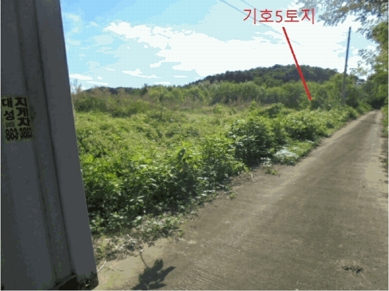 2025타경30783 충청북도 음성군 금왕읍 용계리 산44-10 임야 경매 이미지