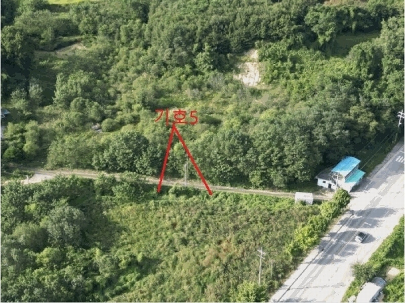 2025타경30783 충청북도 음성군 금왕읍 용계리 산44-10 임야 경매 이미지