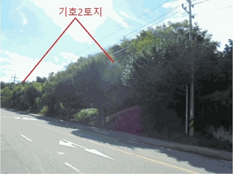 2025타경30783 충청북도 음성군 금왕읍 용계리 301-5 임야 경매 이미지