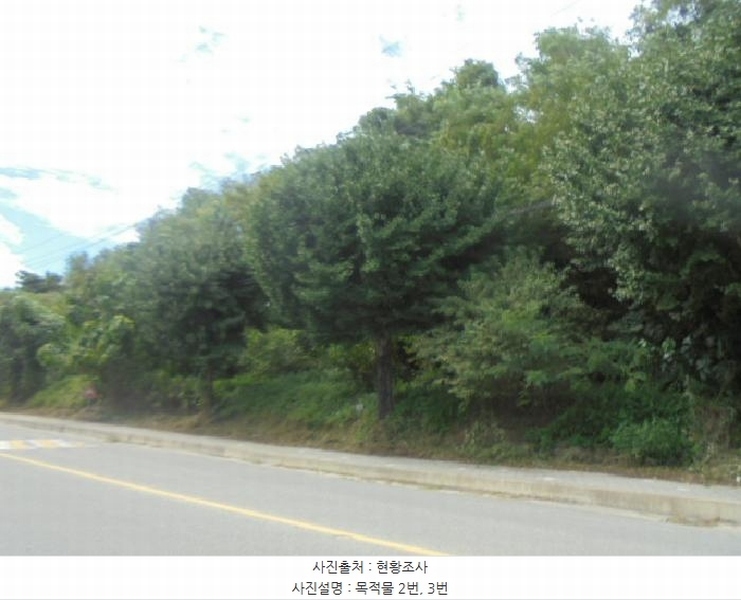 2025타경30783 충청북도 음성군 금왕읍 용계리 301-5 임야 경매 이미지