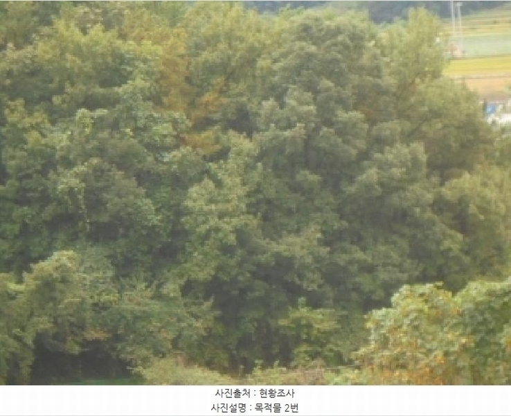 2025타경30813 충청북도 충주시 앙성면 용포리 산4-34 임야 경매 이미지