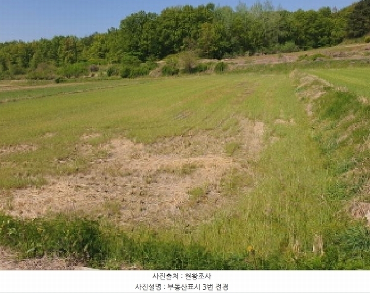 2025타경5247 전라남도 강진군 병영면 한학리 197-5 농지 경매 이미지