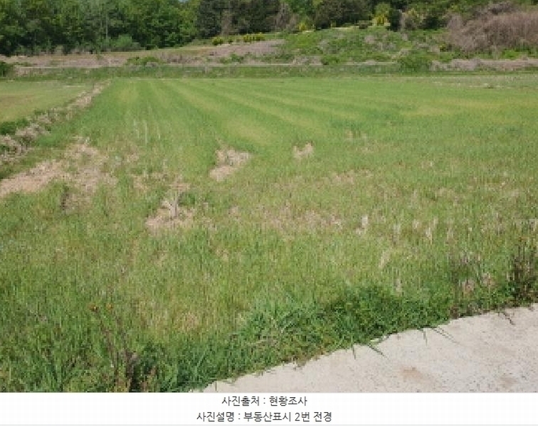 2025타경5247 전라남도 강진군 병영면 한학리 197-5 농지 경매 이미지