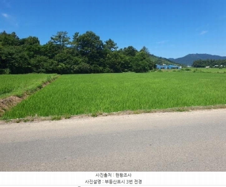2025타경5294 전라남도 장흥군 용산면 관지리 8-2 농지 경매 이미지