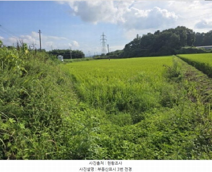 2025타경90 전라남도 강진군 작천면 내기리 933-10 농지 경매 이미지