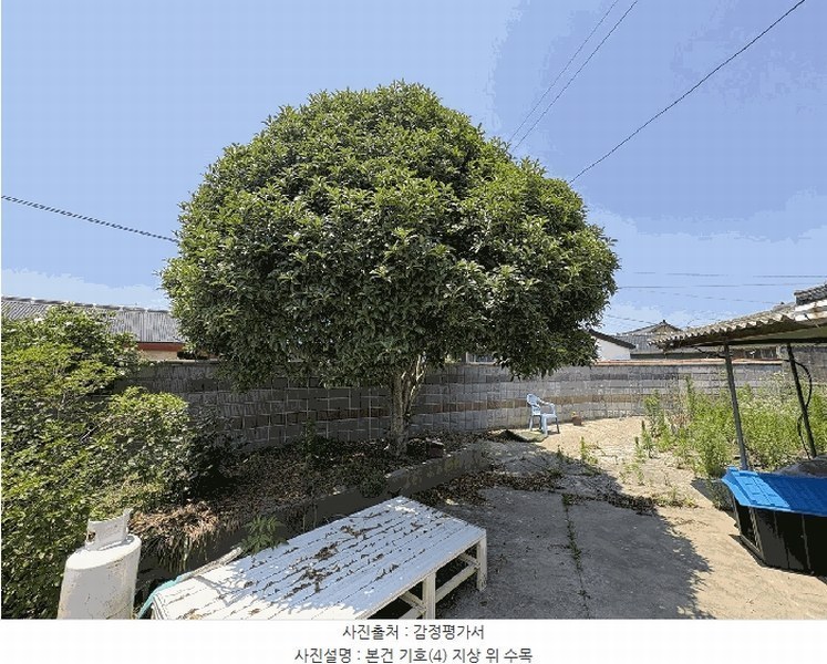 2025타경5274 전라남도 강진군 강진읍 남포리 170 대지 경매 이미지
