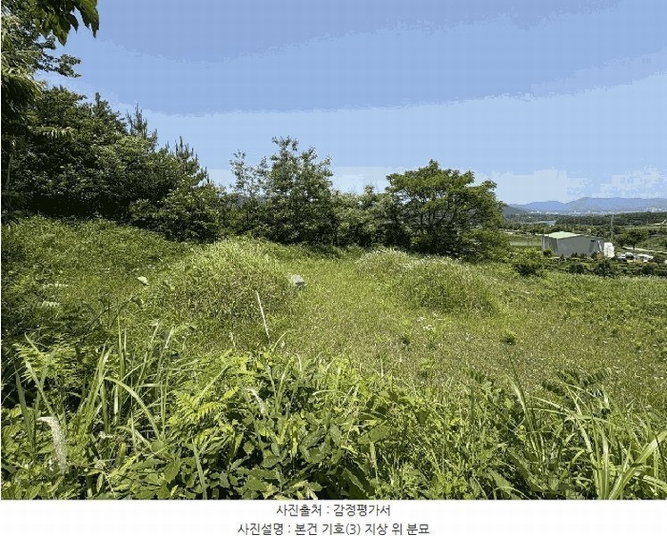 2025타경5274 전라남도 강진군 강진읍 영파리 203-3 농지 경매 이미지