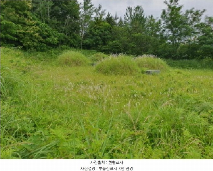 2025타경5274 전라남도 강진군 강진읍 영파리 203-3 농지 경매 이미지