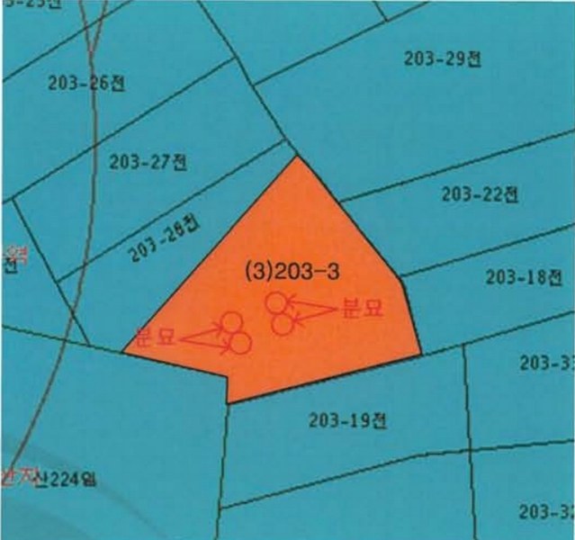 2025타경5274 전라남도 강진군 강진읍 영파리 203-3 농지 경매 이미지