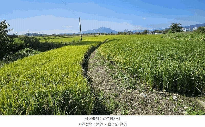 2025타경5319 전라남도 강진군 군동면 호계리 895-6 농지 경매 이미지