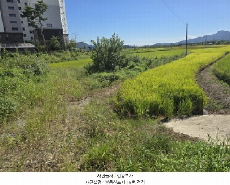 2025타경5319 전라남도 강진군 군동면 호계리 895-6 농지 경매 이미지