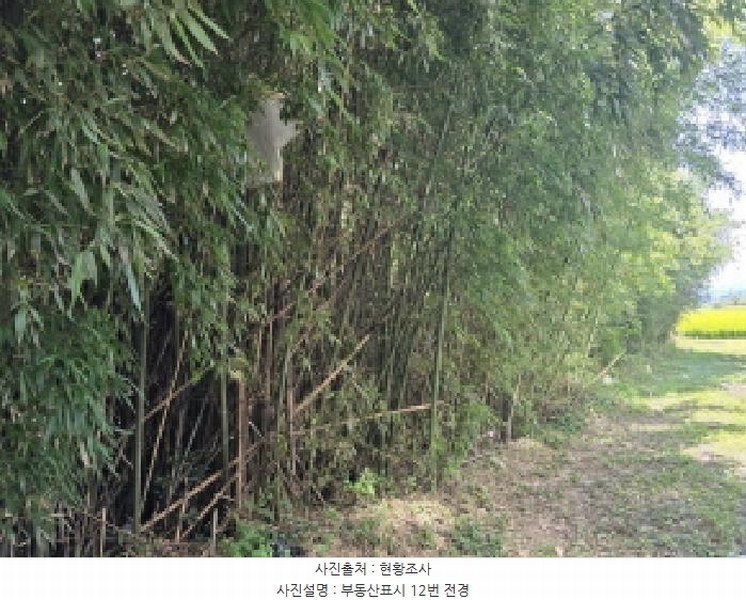 2025타경5319 전라남도 강진군 군동면 호계리 900-8 대지 경매 이미지