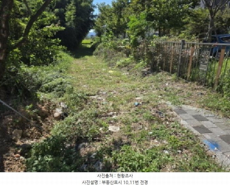 2025타경5319 전라남도 강진군 군동면 호계리 900-8 대지 경매 이미지