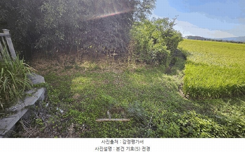 2025타경5319 전라남도 강진군 군동면 호계리 1202-7 농지 경매 이미지