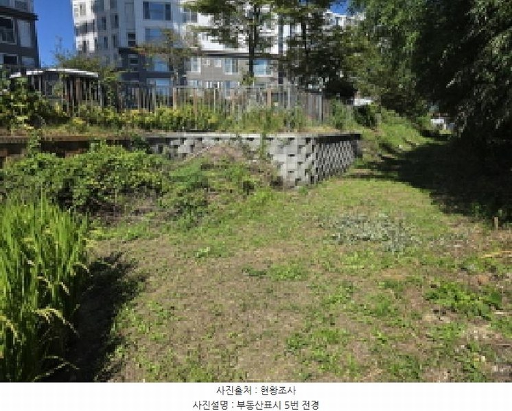 2025타경5319 전라남도 강진군 군동면 호계리 1202-7 농지 경매 이미지