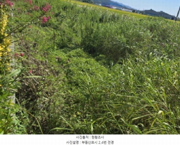 2025타경5319 전라남도 강진군 군동면 호계리 1203-5 농지 경매 이미지
