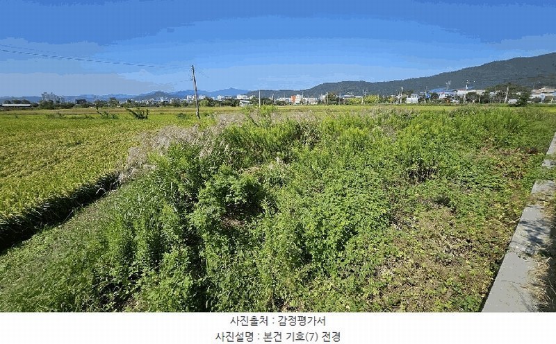 2025타경5319 전라남도 강진군 군동면 호계리 1203-5 농지 경매 이미지