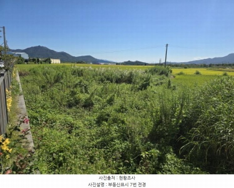 2025타경5319 전라남도 강진군 군동면 호계리 1203-5 농지 경매 이미지