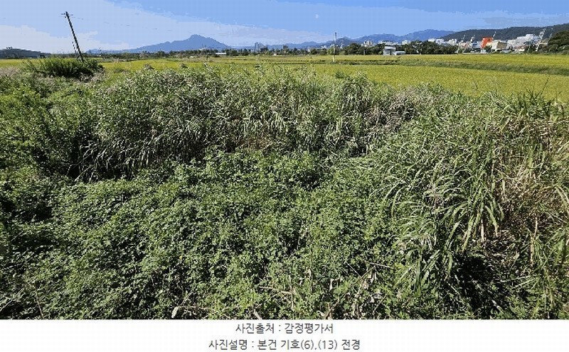 2025타경5319 전라남도 강진군 군동면 호계리 1203-5 농지 경매 이미지