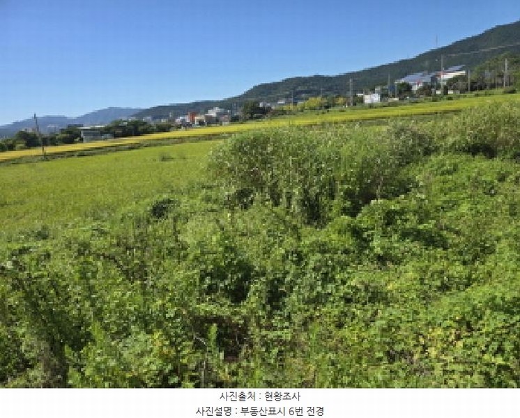 2025타경5319 전라남도 강진군 군동면 호계리 1203-5 농지 경매 이미지