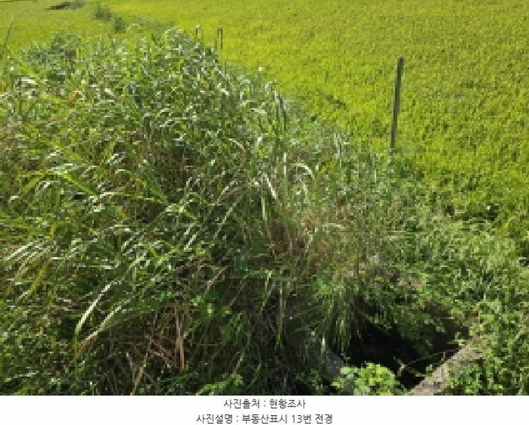 2025타경5319 전라남도 강진군 군동면 호계리 1203-5 농지 경매 이미지
