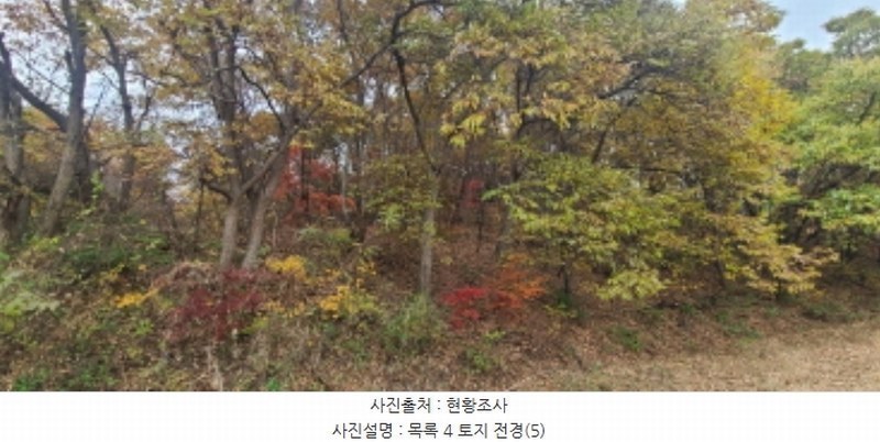 2024타경84089 경기도 파주시 문산읍 선유리 230-5 농지 경매 이미지
