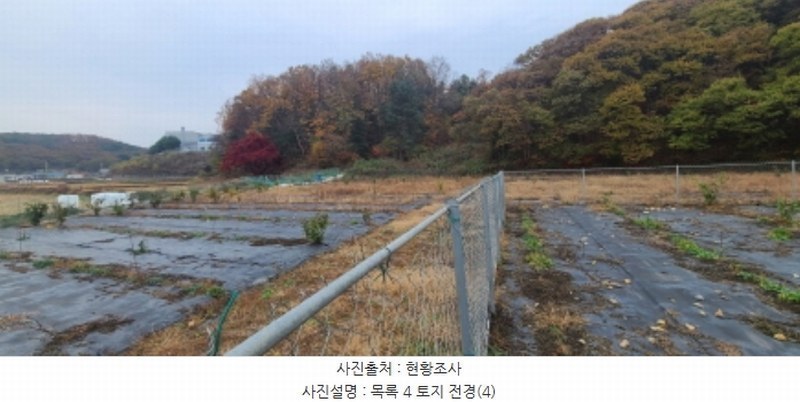 2024타경84089 경기도 파주시 문산읍 선유리 230-5 농지 경매 이미지