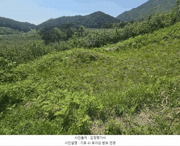 2025타경100313 경상북도 봉화군 물야면 오전리 1110-3 과수원 경매 이미지