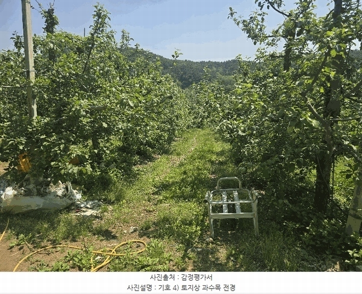 2025타경100313 경상북도 봉화군 물야면 오전리 1110-3 과수원 경매 이미지