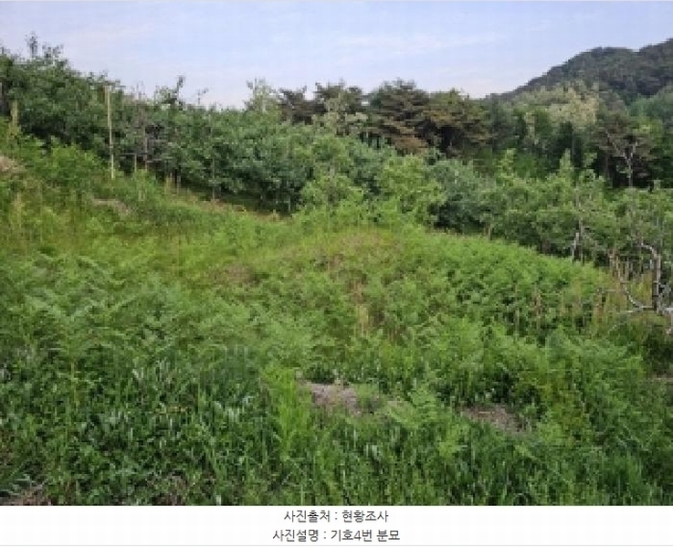 2025타경100313 경상북도 봉화군 물야면 오전리 1110-3 과수원 경매 이미지