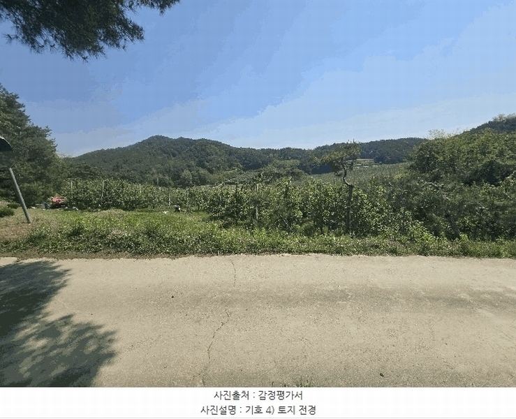 2025타경100313 경상북도 봉화군 물야면 오전리 1110-3 과수원 경매 이미지