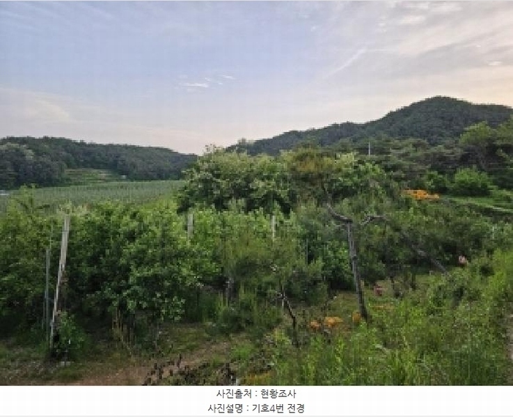 2025타경100313 경상북도 봉화군 물야면 오전리 1110-3 과수원 경매 이미지