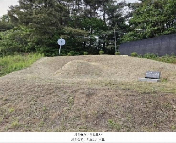 2025타경100313 경상북도 봉화군 물야면 오전리 1110-3 과수원 경매 이미지