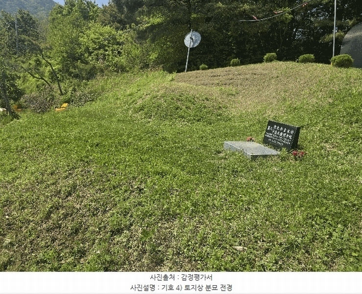 2025타경100313 경상북도 봉화군 물야면 오전리 1110-3 과수원 경매 이미지