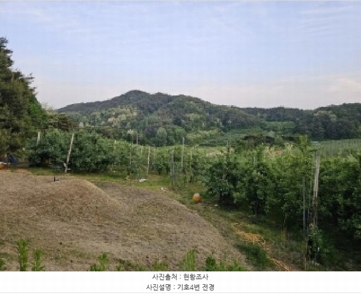 2025타경100313 경상북도 봉화군 물야면 오전리 1110-3 과수원 경매 이미지