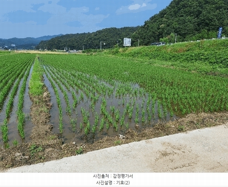 2025타경20697 강원특별자치도 원주시 문막읍 후용리 1269-1 농지 경매 이미지
