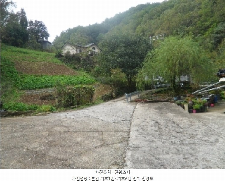 2024타경54289 강원특별자치도 삼척시 도계읍 발이리 329 대지 경매 이미지