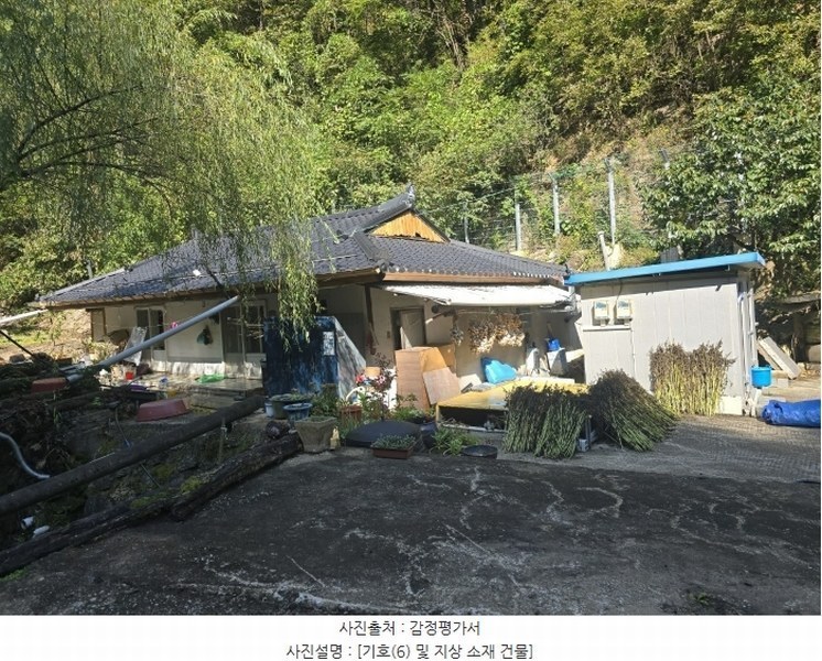 2024타경54289 강원특별자치도 삼척시 도계읍 발이리 329 대지 경매 이미지