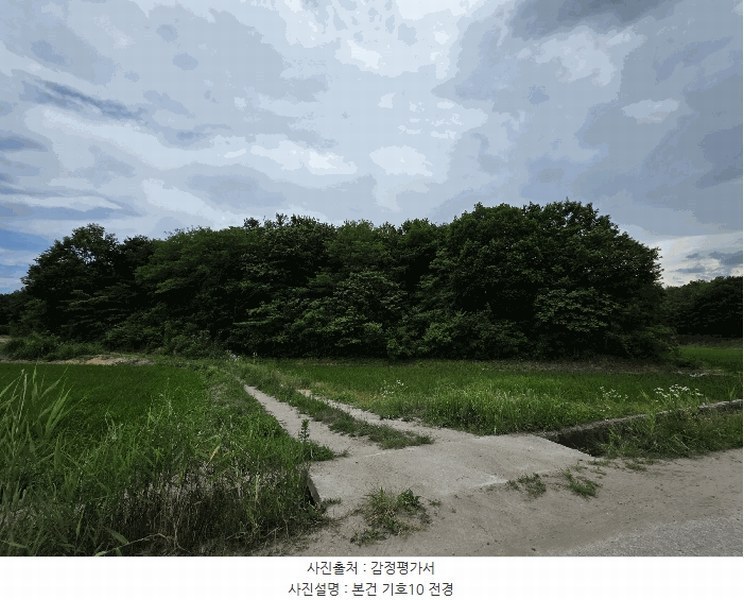 2025타경225 강원특별자치도 강릉시 연곡면 동덕리 산92 임야 경매 이미지