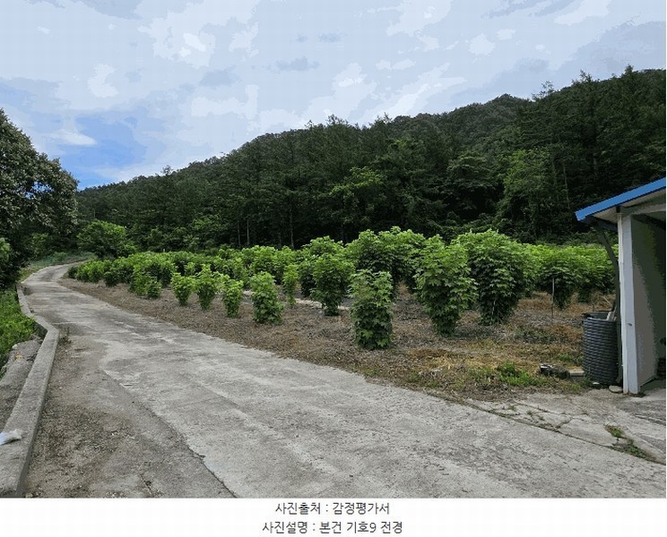 2025타경225 강원특별자치도 강릉시 연곡면 삼산리 844 농지 경매 이미지