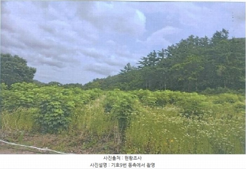 2025타경225 강원특별자치도 강릉시 연곡면 삼산리 844 농지 경매 이미지