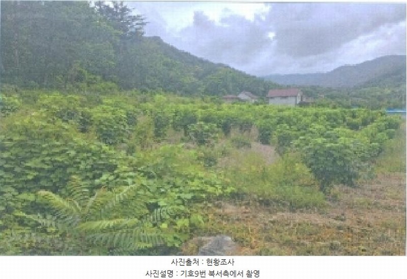 2025타경225 강원특별자치도 강릉시 연곡면 삼산리 844 농지 경매 이미지