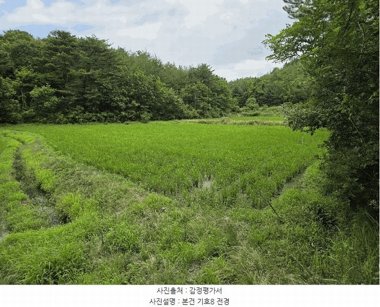 2025타경225 강원특별자치도 강릉시 연곡면 동덕리 630-1 농지 경매 이미지