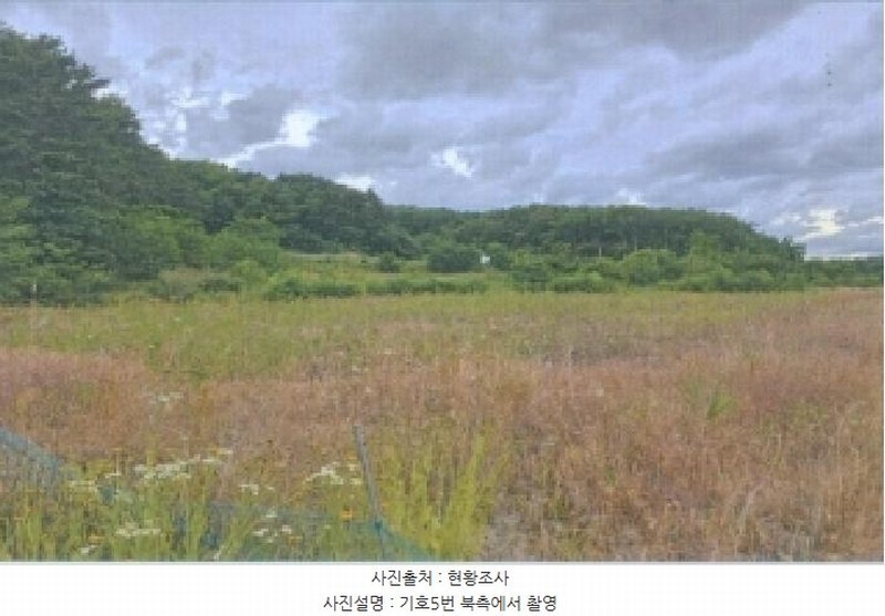 2025타경225 강원특별자치도 강릉시 안현동 447 농지 경매 이미지
