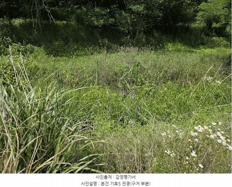 2025타경225 강원특별자치도 강릉시 안현동 447 농지 경매 이미지