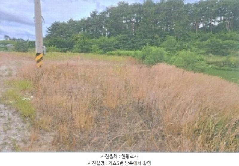 2025타경225 강원특별자치도 강릉시 안현동 447 농지 경매 이미지