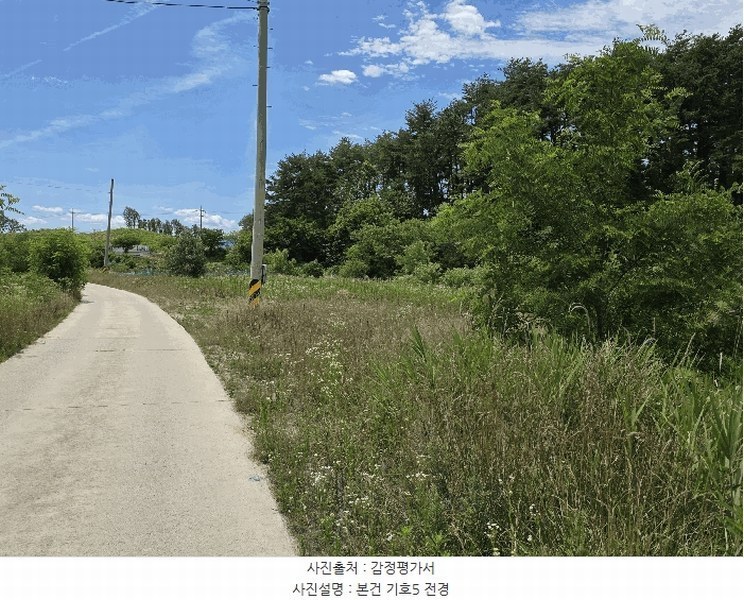 2025타경225 강원특별자치도 강릉시 안현동 447 농지 경매 이미지