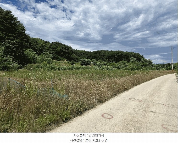 2025타경225 강원특별자치도 강릉시 안현동 447 농지 경매 이미지