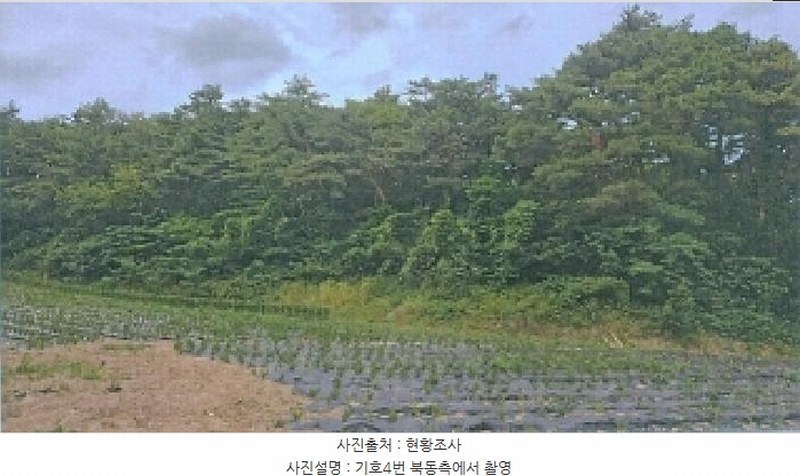 2025타경225 강원특별자치도 강릉시 유천동 산219 임야 경매 이미지