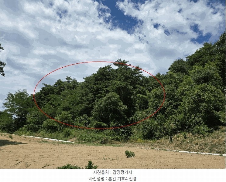 2025타경225 강원특별자치도 강릉시 유천동 산219 임야 경매 이미지